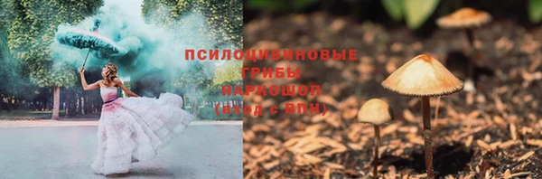 марки nbome Богданович