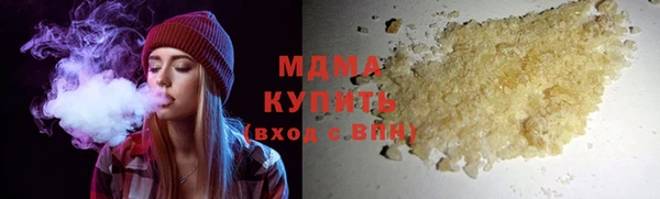 шишки Бородино